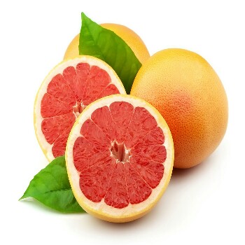 grapefruit-350×350