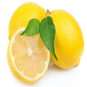 lemon-350×350
